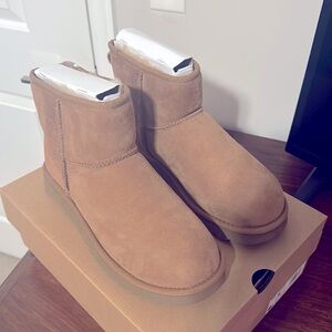 Classic Mini II UGG boots chestnut